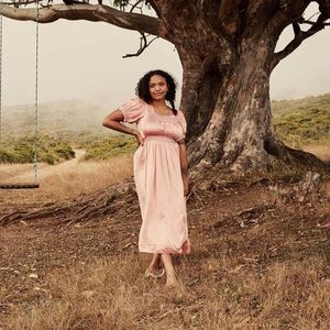 SOLD Castalia dress in Sunset (pink silk) XS NWT DOEN